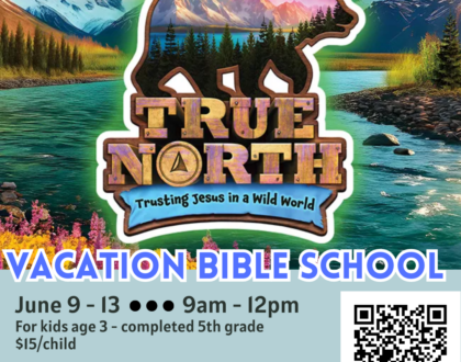 VBS True North