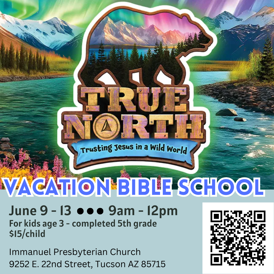 VBS True North